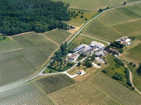 Weinberge von Château Vincent Lamothe erhäldlich bei Weinhandel Winkel